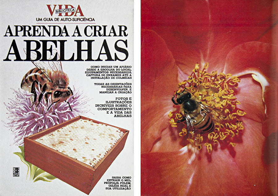 Aprenda a Criar Abelhas